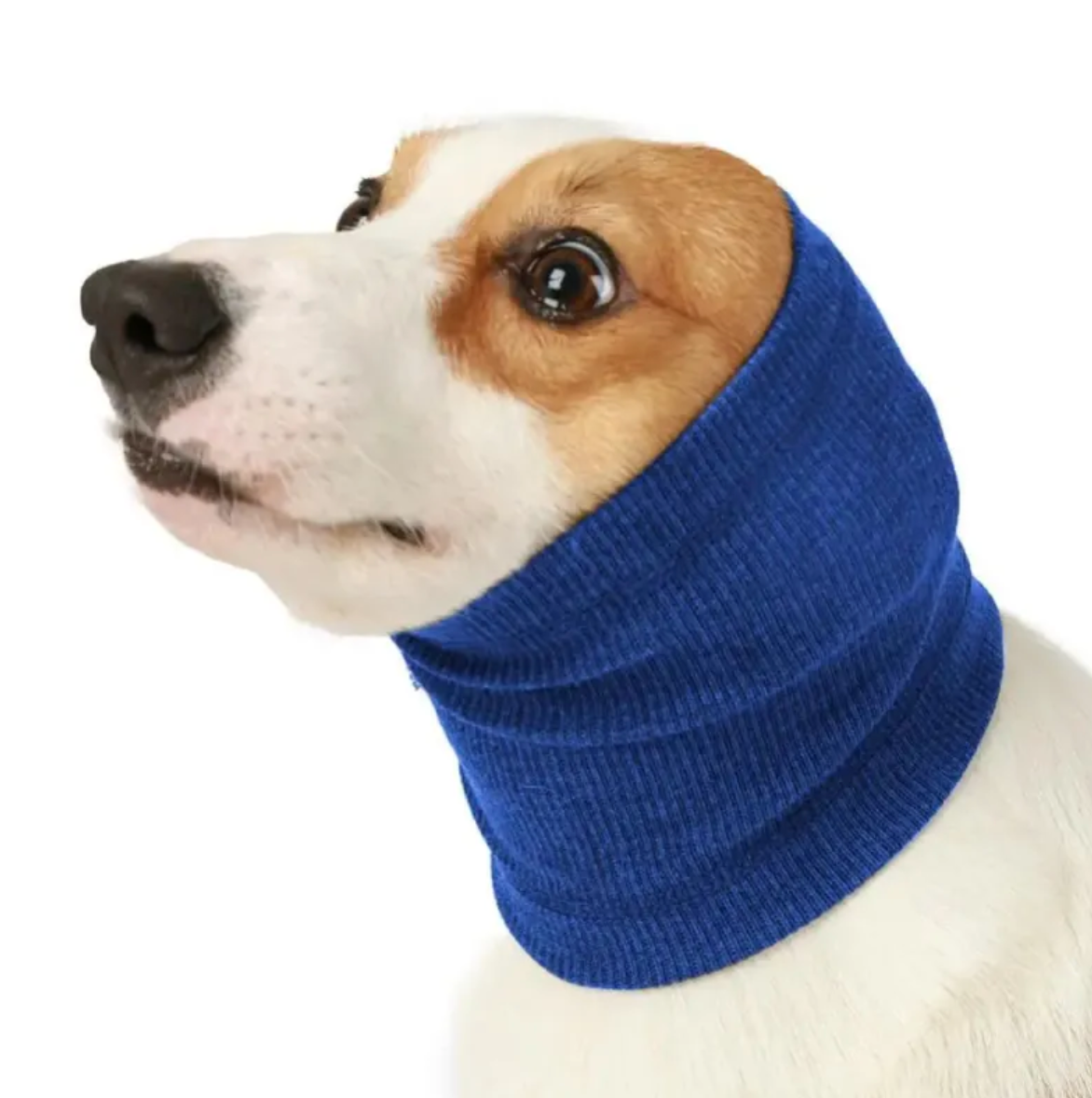 Pawcalm Headband ™