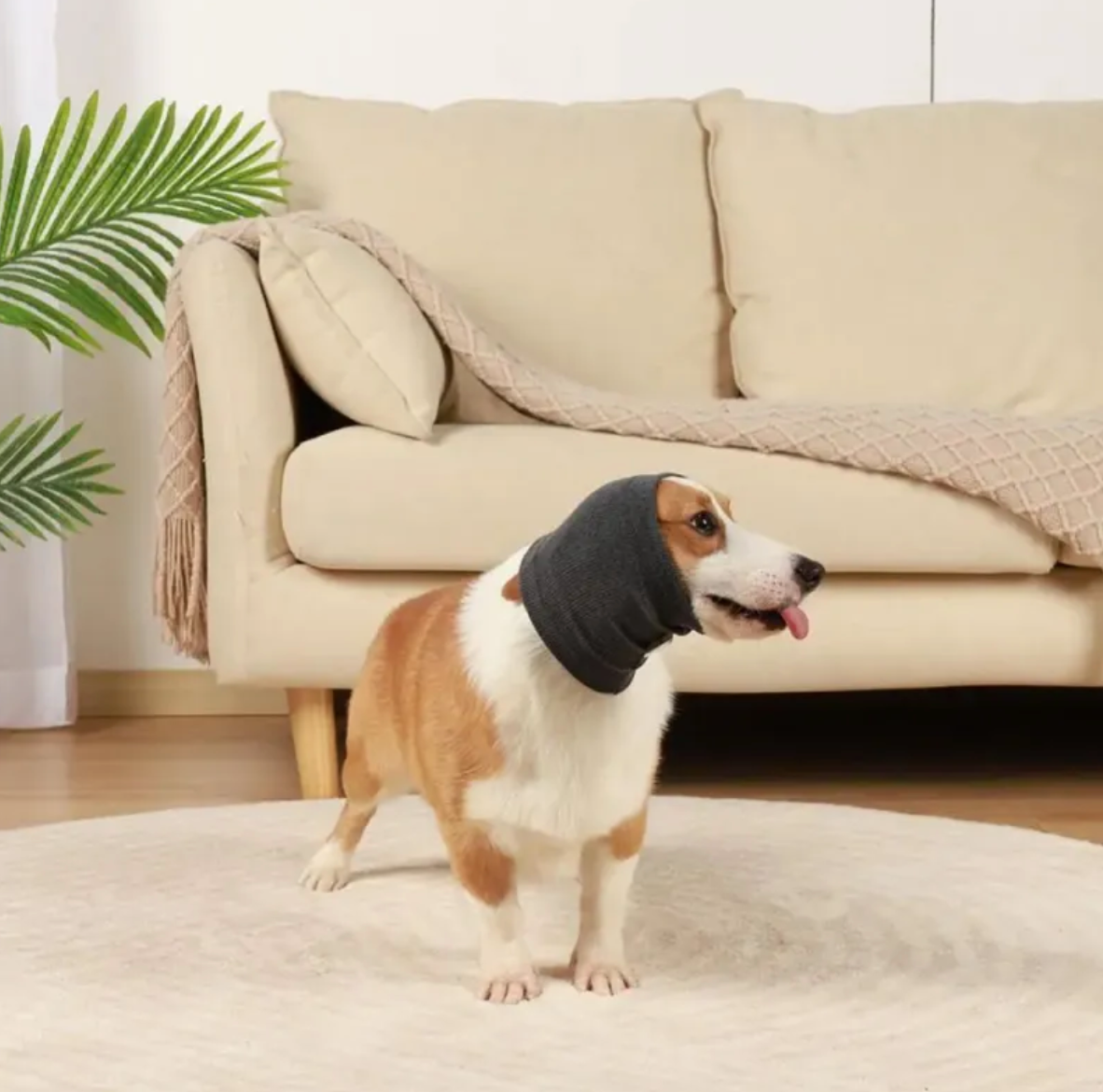 Pawcalm Headband ™