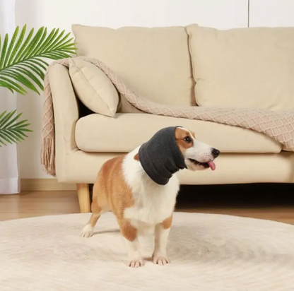 Pawcalm Headband ™